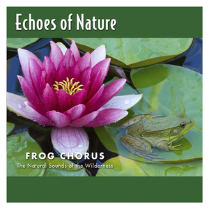 大奶熟女淫水直流
